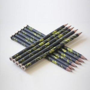 Potlood met magneet (zwart/groen)