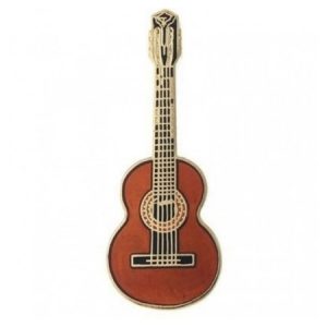 Pin gitaar