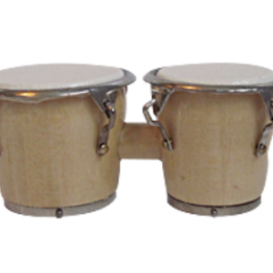 Miniatuur Bongo's
