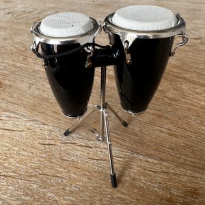 Miniatuur conga's